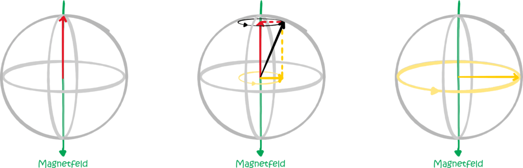 Parallele und senkrechte Komponente des Kernspins