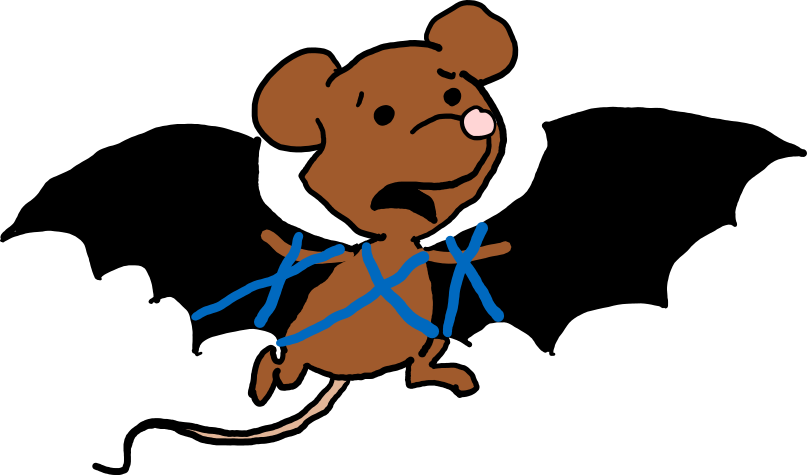 Eine Maus mit Flügel